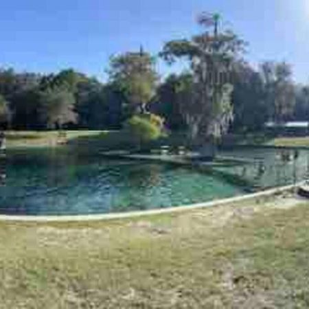 The Botanical Retreat, King Comfort & Poolside Peace Gainesville Esterno foto