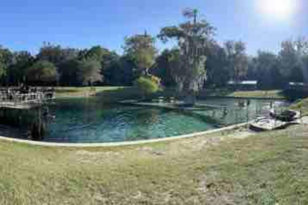The Botanical Retreat, King Comfort & Poolside Peace Gainesville Esterno foto